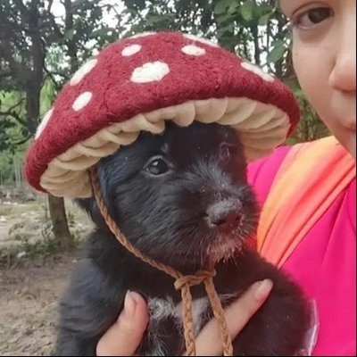 P_knui's profile picture