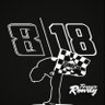 Profilbild von That loud NASCAR fan/diecast collector