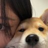 아름이 的头像