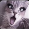 final cvnt's profile picture