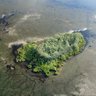 Chesapeake Drone Imaging profil fotoğrafı