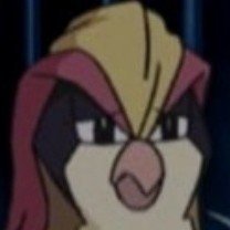 Ot_Pidgeot's profile picture