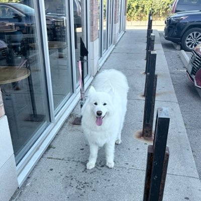 contendwithx's profile picture