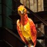 ？ 的头像