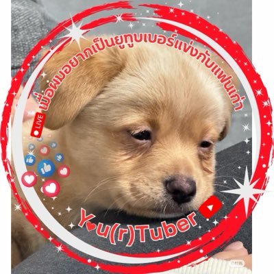 TT_LSK's profile picture