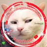 หม่ามี๊Ai_oon💚🩷☔️ profil fotoğrafı