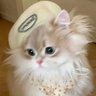 Cho's profile picture