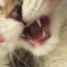 nn's profile picture