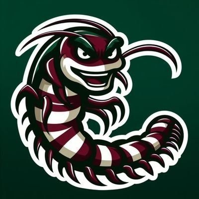 lacraiatricolor's profile picture