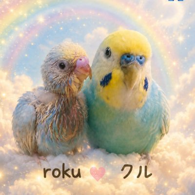 kururin-PI💕🐦️roku💕🐦's profile picture