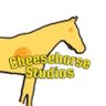 Фото профиля CheeseHorse Studios