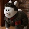 Radetski's profile picture