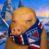 #1 Puck Knower's profile picture