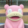 K's profile picture