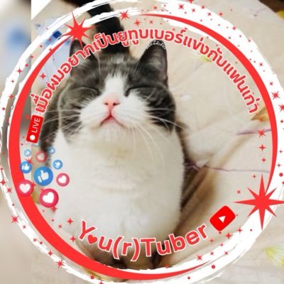 ₊˚ ꒱ ‧⁺ เมย่า_𝓜𝓪𝔂𝓪 .👑₊˚ ꒱ ‧⁺'s profile picture