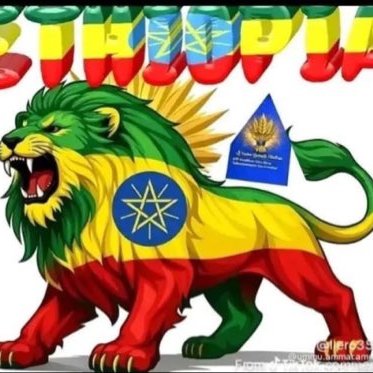 ጀEN ፣ ኢBን ፣ Aል ፣ ፋARAህ's profile picture
