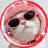 𝑴𝒂𝒊𝒘𝒔𝒏 profil fotoğrafı