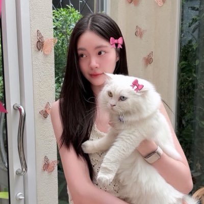 mewmalloww's profile picture