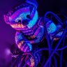 Фото профиля Venkai
