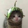 年's profile picture