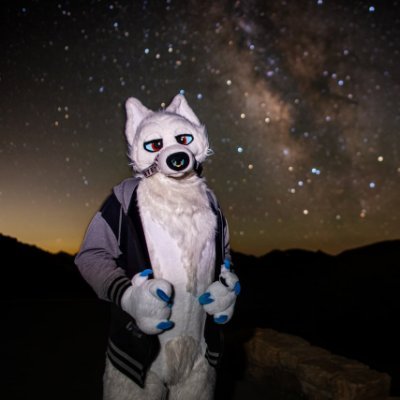 🐺 Frosty 🔜 Denfur's profile picture