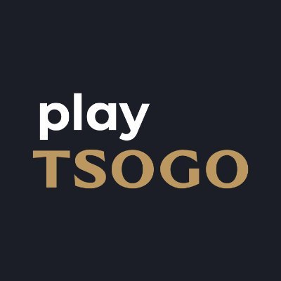 playTSOGO's profile picture