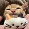 季风's profile picture
