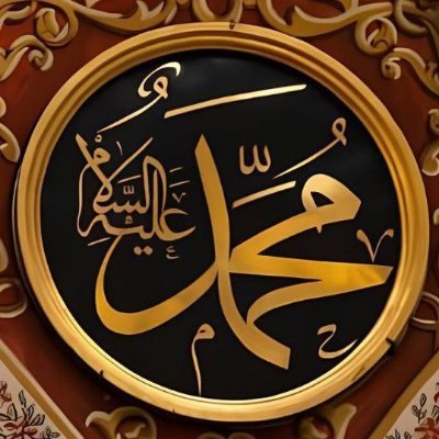 Hadis Rahlesi's profile picture