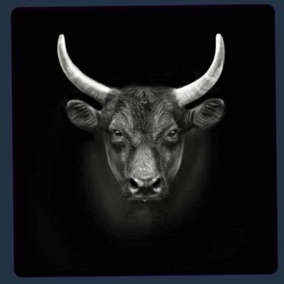 GP Q's profile picture