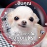 Фото профиля ปป 🌈 ft.เพี้ยน(Error)