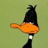 Duck tour's profile picture