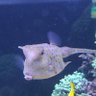 Фото профиля heintaire roger