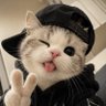 Mamii Yumii 😺 profil fotoğrafı