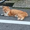 鬼怒川1号's profile picture