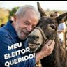 No 🇧🇷 o CRIME Compensa's profile picture