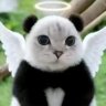Profilbild von 匿名Q