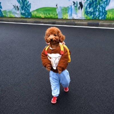 dogwifpants's profile picture
