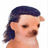 x 1997 x profil fotoğrafı