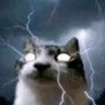 Profilbild von KellenGoffsChair