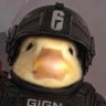 Profilbild von DuckSoldier