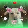 ซันนี่แฟลร์ ที่รออินคุณ💚🐶's profile picture