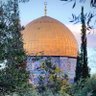 Фото профиля شيرين