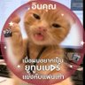 💚🩷 นอตอ นอตอ 💚🩷 profil fotoğrafı