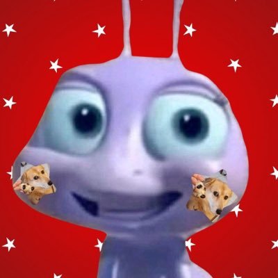 ◟✦kkaowyw ( หมาลุ้กเก้ด )🤘🏻🍒's profile picture