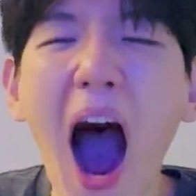 리톨보보후 cocox's profile picture