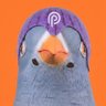 PIRB profil fotoğrafı