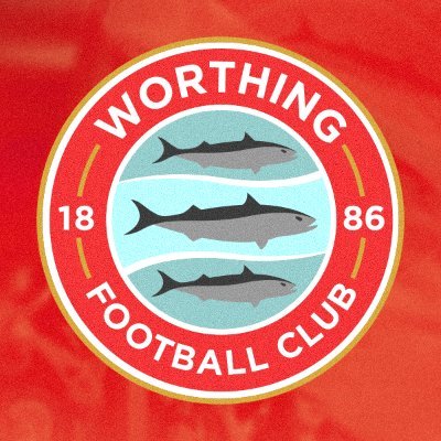 WorthingFC's profile picture