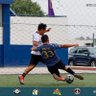Diego Mir's profile picture