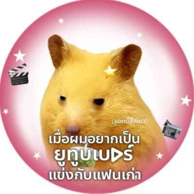 เก้ดเฟ้บ's profile picture