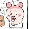 ヨルド（カニ垢）'s profile picture